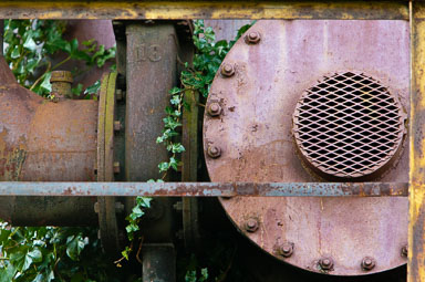 EHJ_090204_A7Q4247.jpg