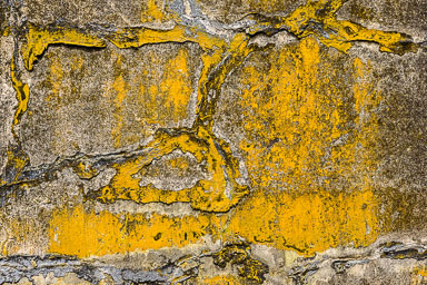 Website-20130806-001-20130806-011-EHJ_130806_181A5005-Edit.jpg