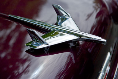 EHJ_100626_A7Q0920-Edit.jpg