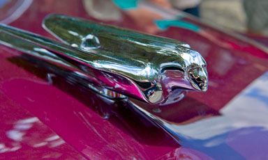 EHJ_100626_A7Q1057-Edit.jpg