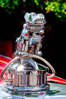 EHJ_100626_A7Q1217-Edit.jpg