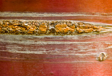 EHJ_110508_A7Q6549-Edit.jpg