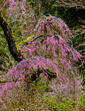 EHJ_160303_181A1553-Edit.jpg