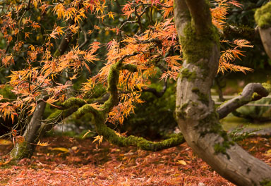 EHJ_161025_181A4757-Edit.jpg