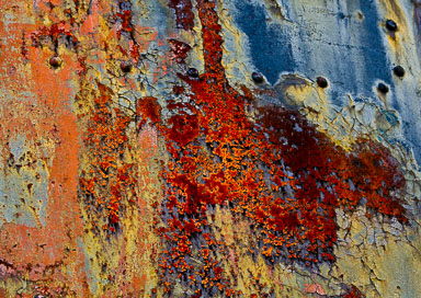 EHJ_080401_A7Q4290-Edit-Edit.jpg