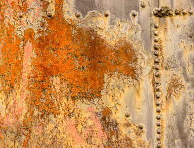 EHJ_150214_181A5058-Edit.jpg